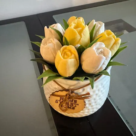 Apartman Novak *